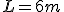 L=6m