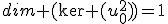 dim (\ker (u_0^2))=1