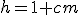 h=1 cm