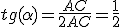 tg(\alpha)=\frac{AC}{2AC}=\frac{1}{2}