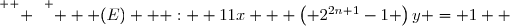 \overset{ { \white{. } } } {   (E)   :  11x + \left( 2^{2n+1}-1 \right)y = 1  }